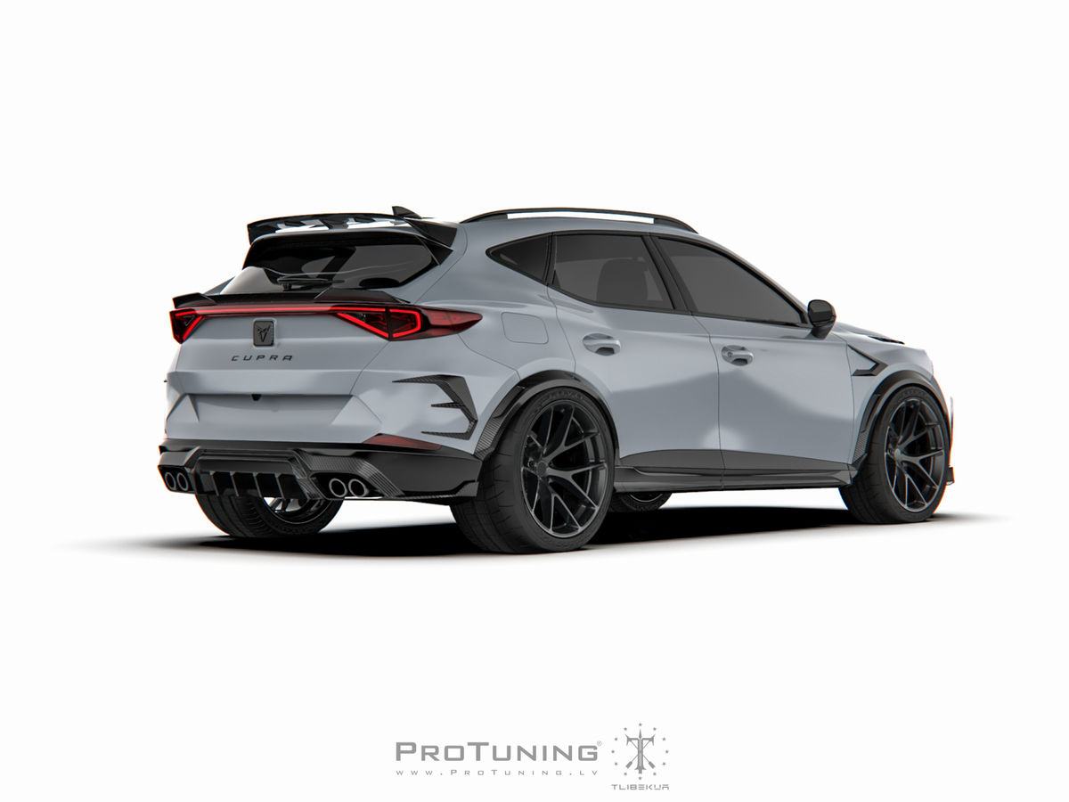 Speed Carbon Fibre Roof Spoiler Wing For Cupra Formentor In Spoilers