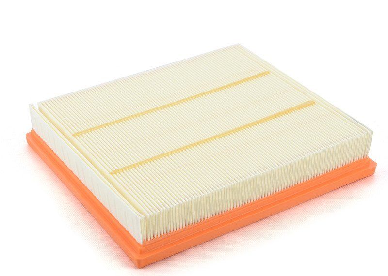 Genuine BMW F20 F21 F22 Engine Air Filter Insert OEM 13717602643